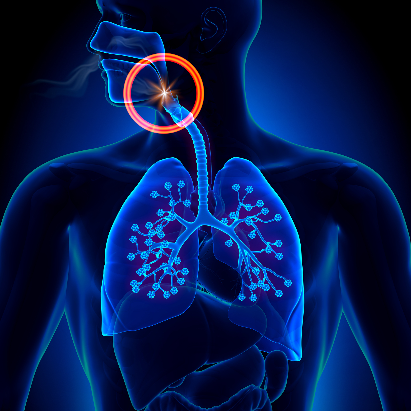 upper Respiratory, My Texas Allergy